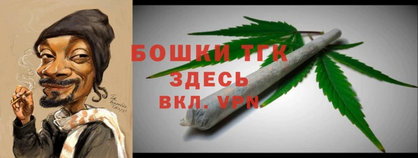 PSILOCYBIN Горно-Алтайск