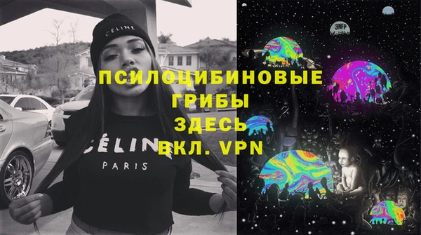 PSILOCYBIN Горно-Алтайск