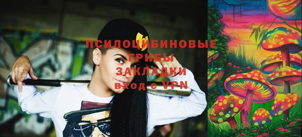 PSILOCYBIN Горно-Алтайск