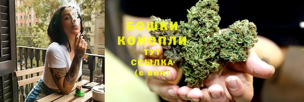 PSILOCYBIN Горно-Алтайск